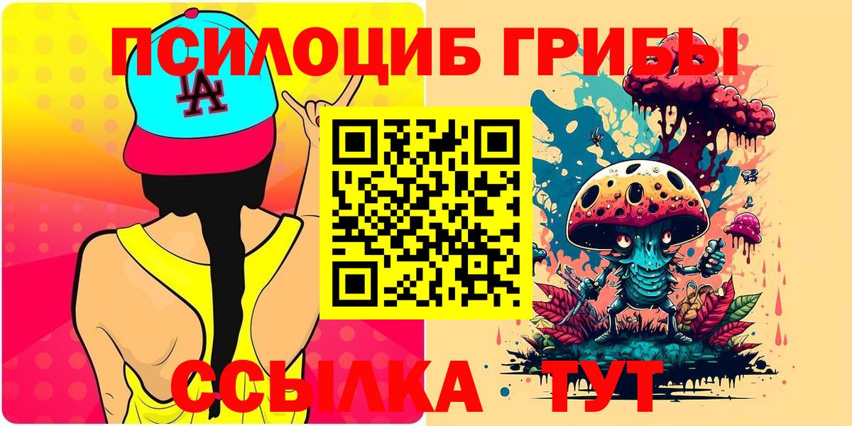 Псилоцибиновые грибы Psilocybine cubensis Бирск