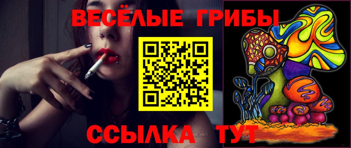 Псилоцибиновые грибы Psilocybine cubensis  Вход с VPN  Бирск 